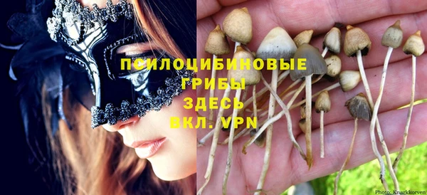 МДМА Богданович